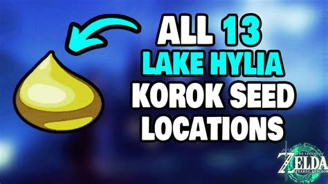 lake hylia metal boxes|lake hylia korok seed.